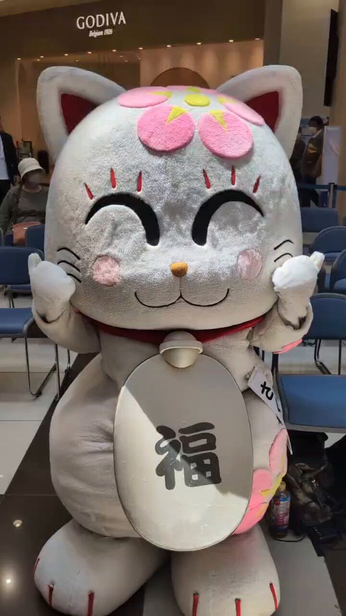 ネコママさま♥️専用 sara seki (@mamuta0405) • Instagram photos and videos