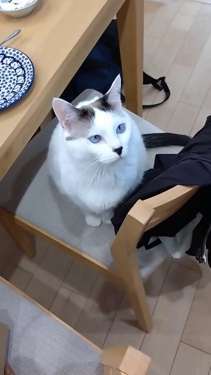 もじゃ子さん on X: 