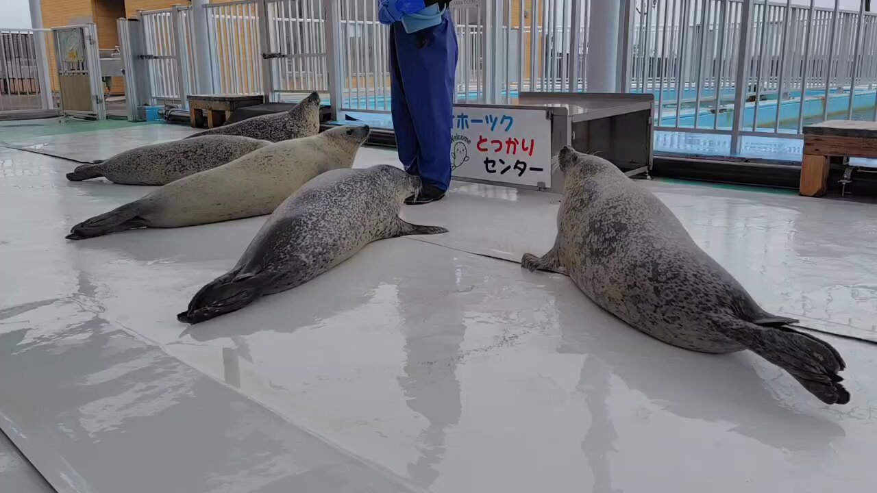 をば on X: 