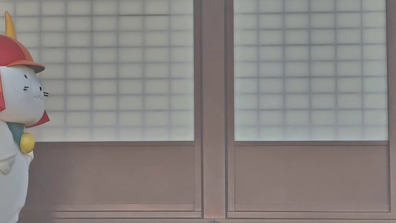 あきにゃん♪ページ あきにゃん🦢🎵歌とハープが好き🦢🎵第九のソロを歌いたい