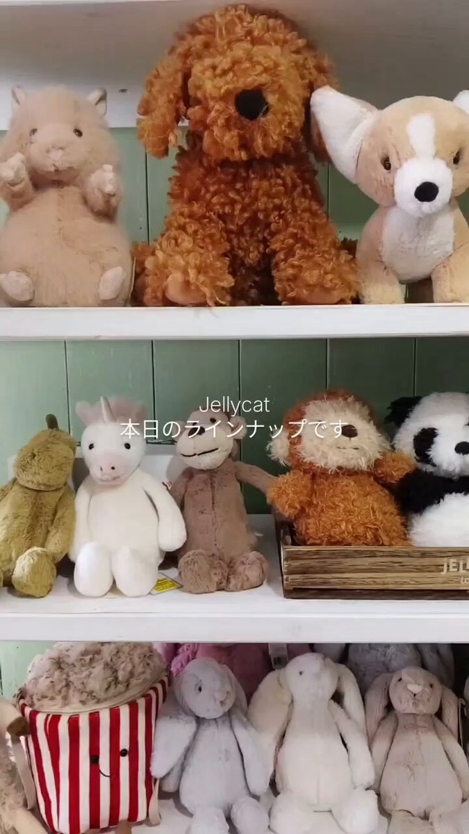 希少　The Cots Wold コッツウォルズ　テディベア イギリス 英国 テディベア＊その他メーカー - テディベア＆欧米の古着
