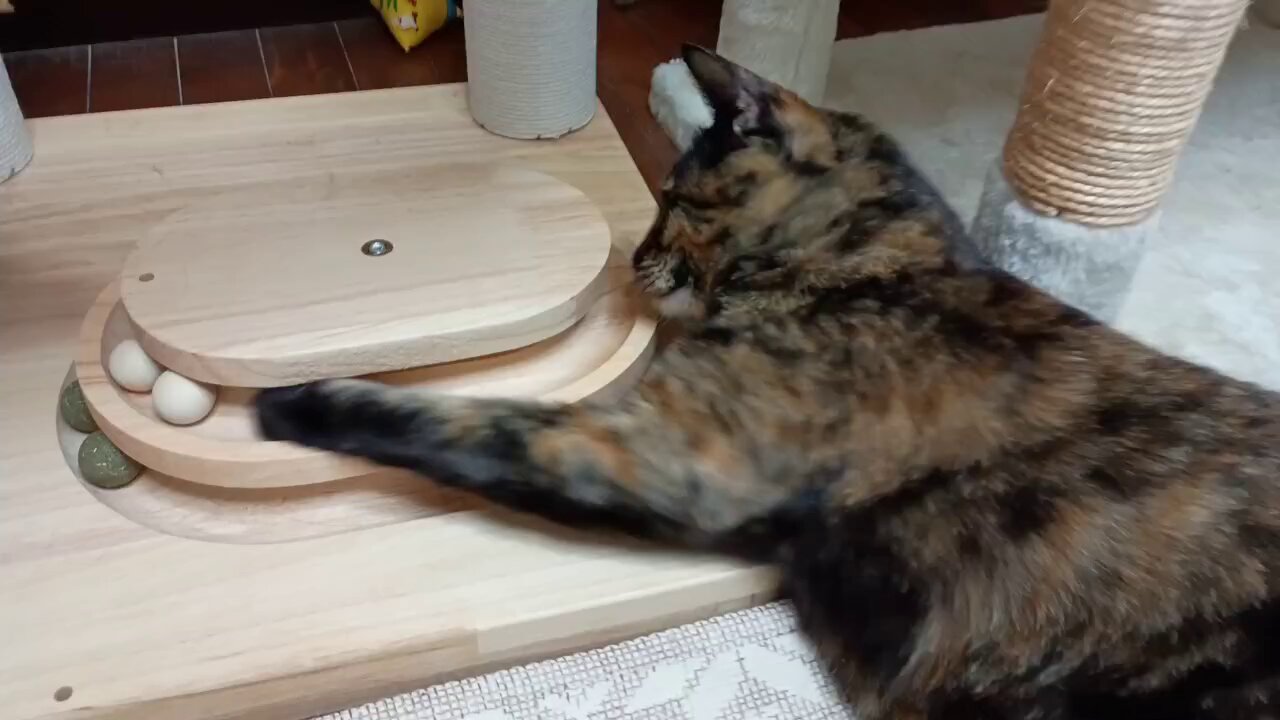 ねこ♡発送は週末出品です ⃝ᴥ)⃝ฅ ♡⃛ on X: 