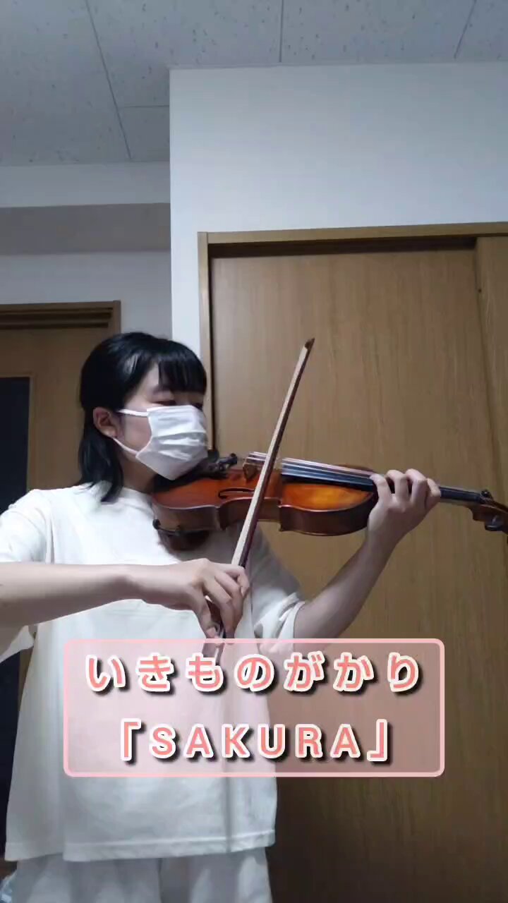 ❤バイオリン❤８分の１ Amazon.co.jp: バイオリン弦セット 4/4バイオリン弦 バイオリン