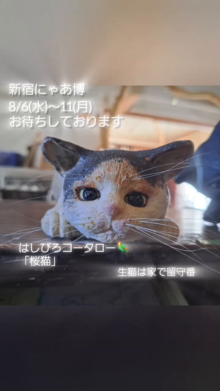 【ハル猫】ことりのあそびば hqdefault.jpg