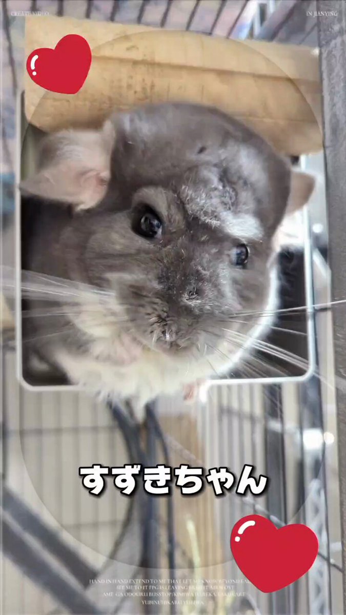 ネズミちゃん ネズミちゃん 高さ約13.5cm｜アミブルージュ｜インテリアレース