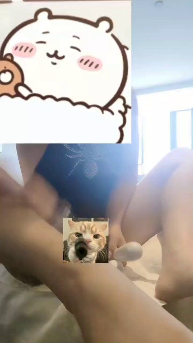 媒体预览