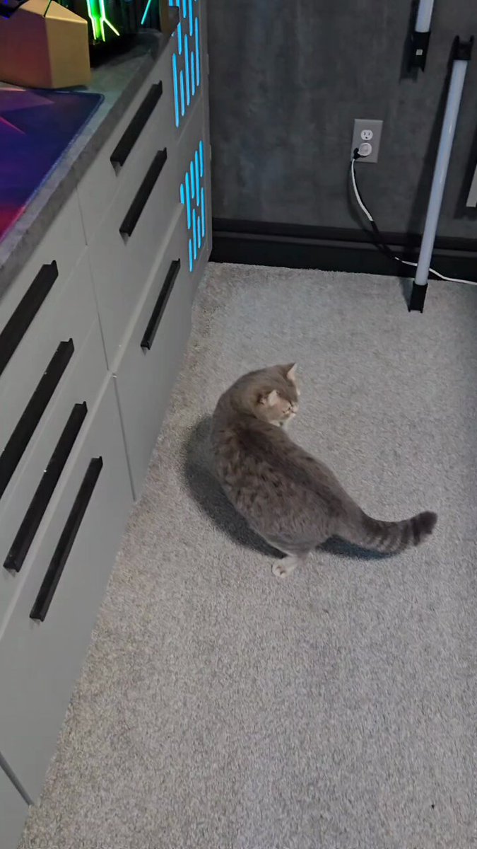 Avan Shiro | Commissions Open (@TakamiShiroi) / X