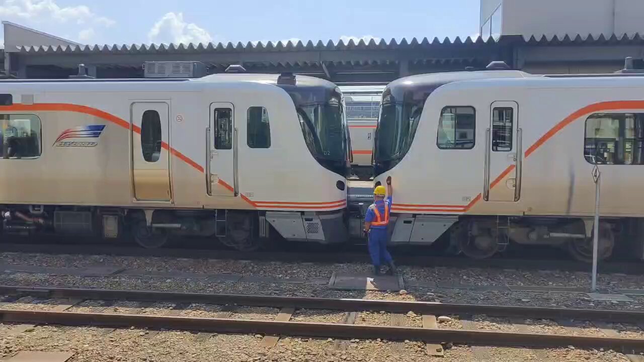 鉄旅 Amazon | 天賞堂(Tenshodo) Zゲージ 85003 165系 直流急行形電車