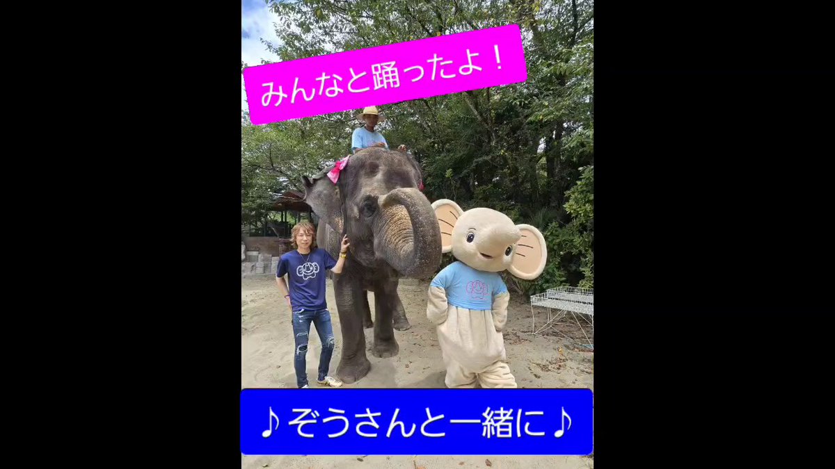 ひよこのさっちゃん GRAPE BRAIN×ELECTRIC TOYS〉の『ちびまる子ちゃん』ソフビに