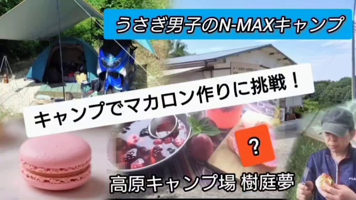 【鬼頭ページ】自転車コギコギうさぎさん♪   スイーツ♡うさぎさん Amazon.co.jp: HAC おさんぽ うさぎちゃん うさぎ 約W9×D14.5