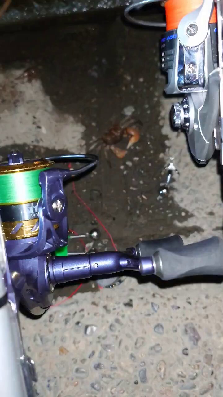 カニさん GE Genteq Capacitor round 40/5 uf MFD 440 volt 97F9838