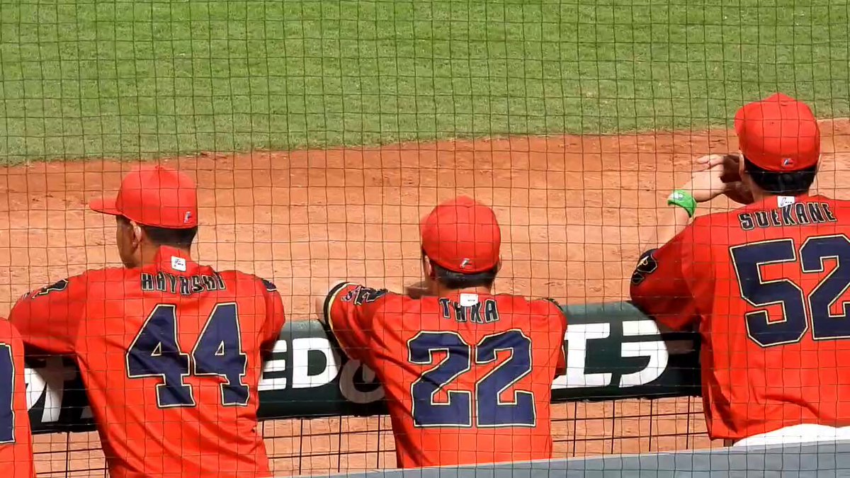 carp - Search / X