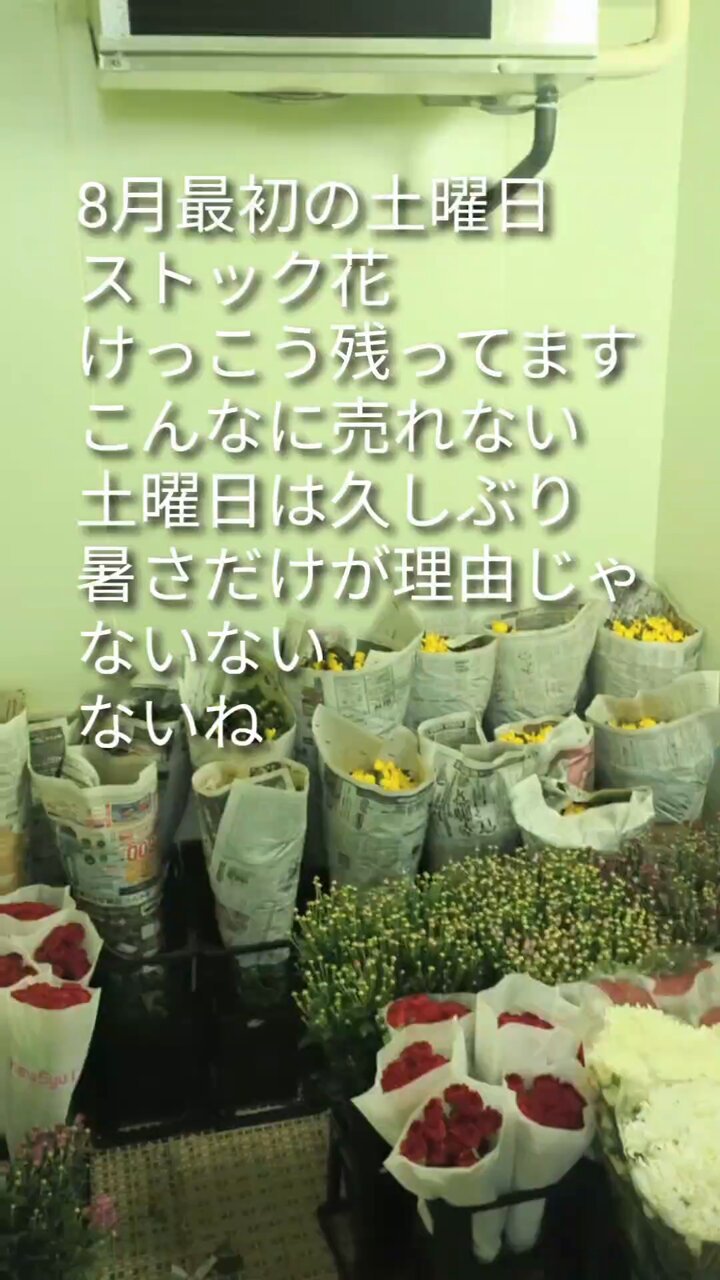 【断捨離中】花 🪷FlowerShop nakano 🪷中野生花店 di taichi matsuo ❲D's