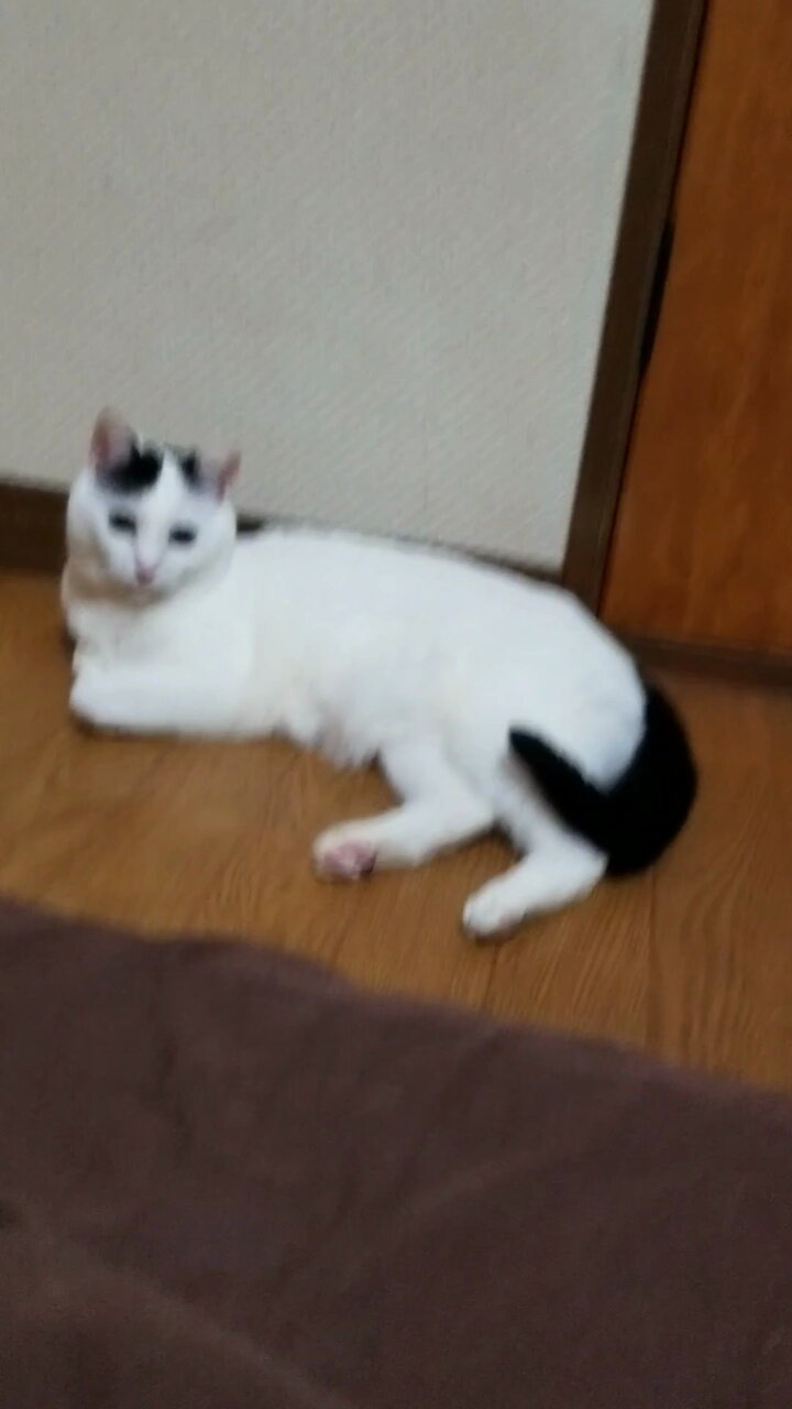 まさ on X: 