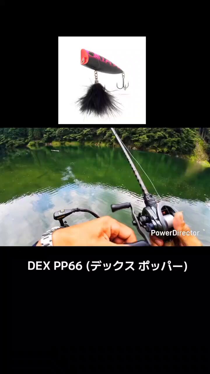 アブガルシア、ダイソーロッド、姉金、スモラバ、青木虫、その他。引取り限定です！ アブガルシア、ダイソーロッド、姉金、スモラバ、青木虫、その他