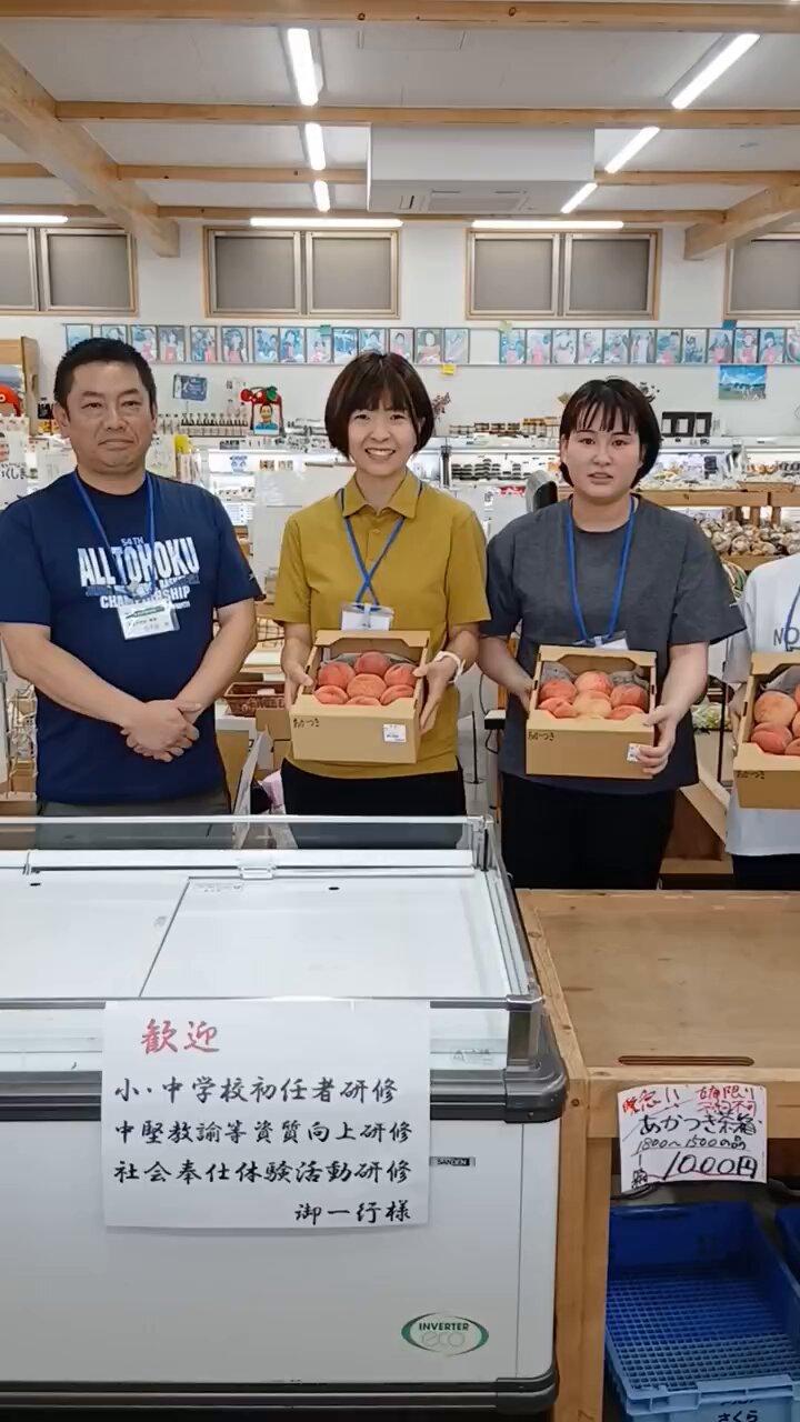 小中学校事務職員現任研修テキスト(①～⑦全巻セット) 小中学校事務職員現任研修テキスト(①～⑦全巻セット)