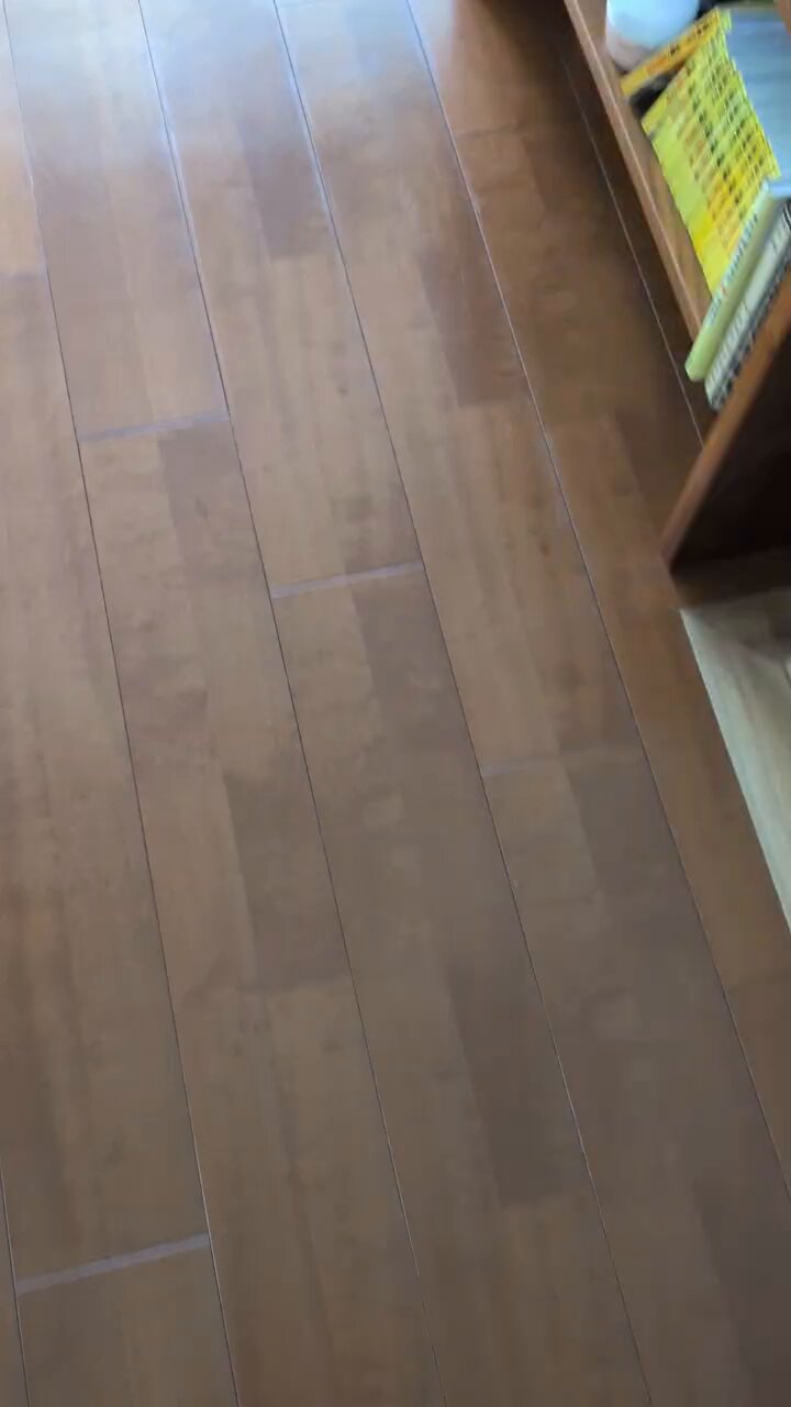 ᵕ̈ GENE犬 犬用on X: 
