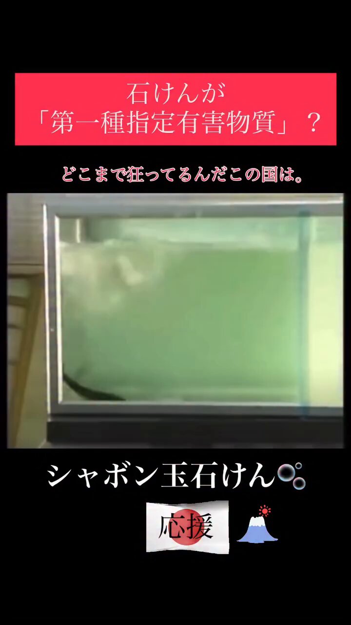 💰💴にゃんころもち💴💰 (@pandora_box666) / X