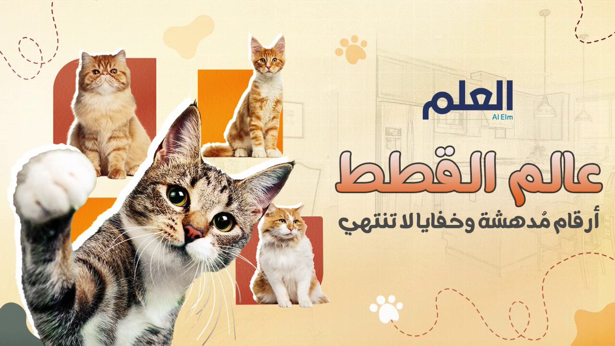 أسرار من عالم القطط نرويها لكم في #اليوم_العالمي_للقطط 