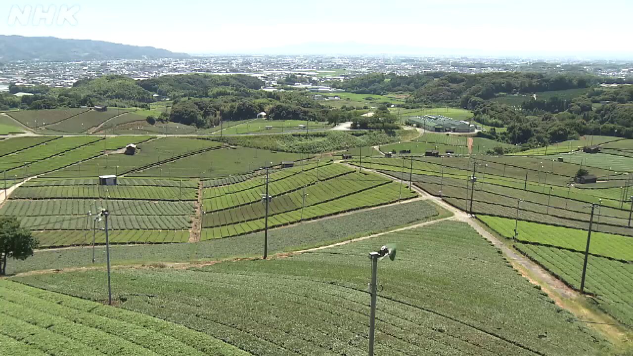 すぐ発送】2004年 夏 甲子園 第86回全国高校野球選手権大会 入れ物ふた