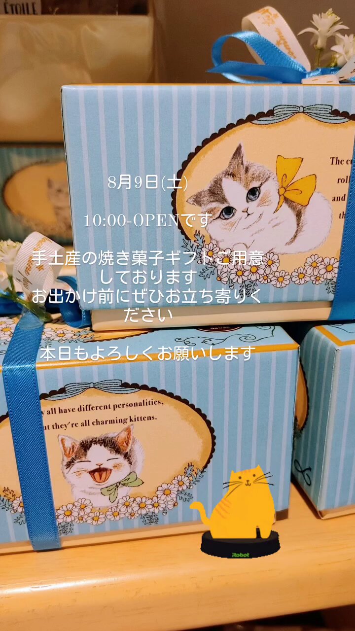 取引猫　リクエスト8点 A former stray cat goes on a late-night sprint on a cat