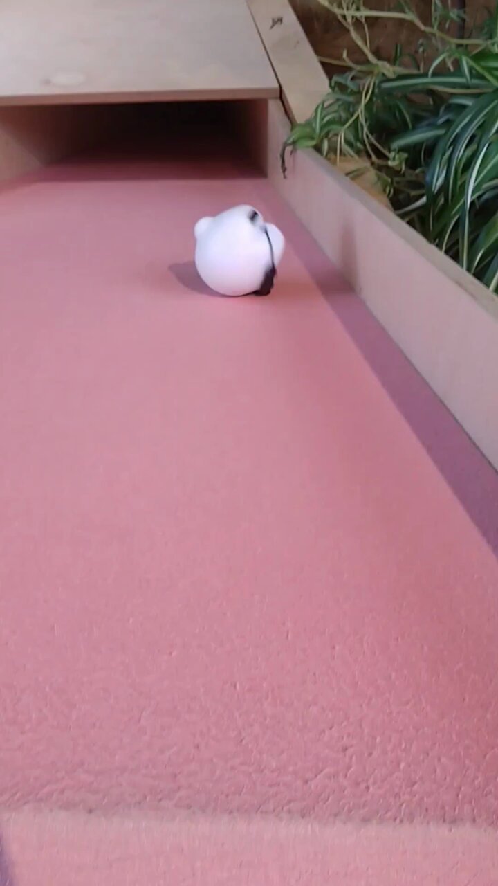 カメキチ@Ninja1000SX on X: 