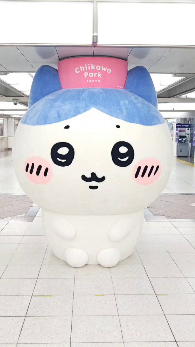 81さん on X: 