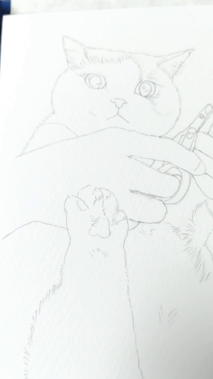 「ハッチ2」猫イラスト（原画） Please follow 👉 @ztoa1111 2024パリパラリンピックの競技