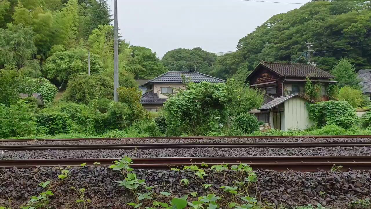 鉄道のある風景 真っ暗闇ハイビーム🔦 #あけぼの #ef64 #闇鉄 #300mmf28 #鉄道