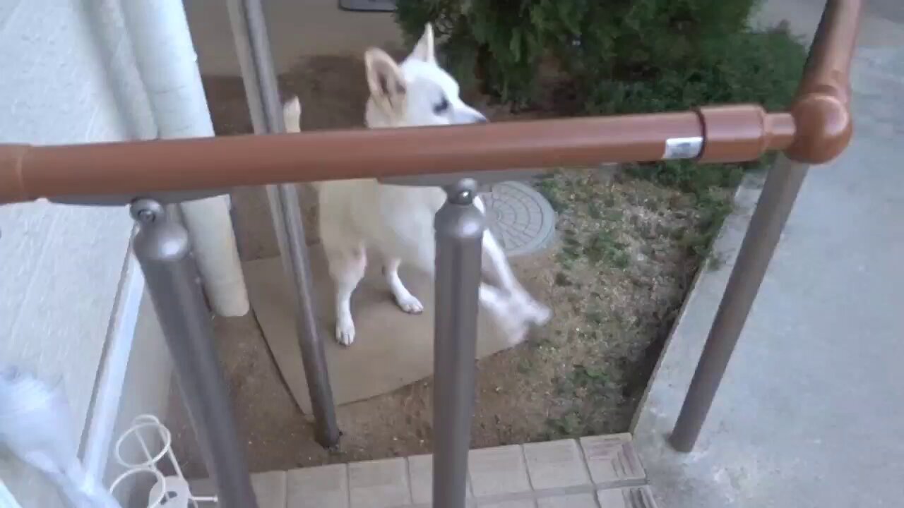 ぴっぴまるページです♡ むらさきからーの なまがきちゃん🦪💜