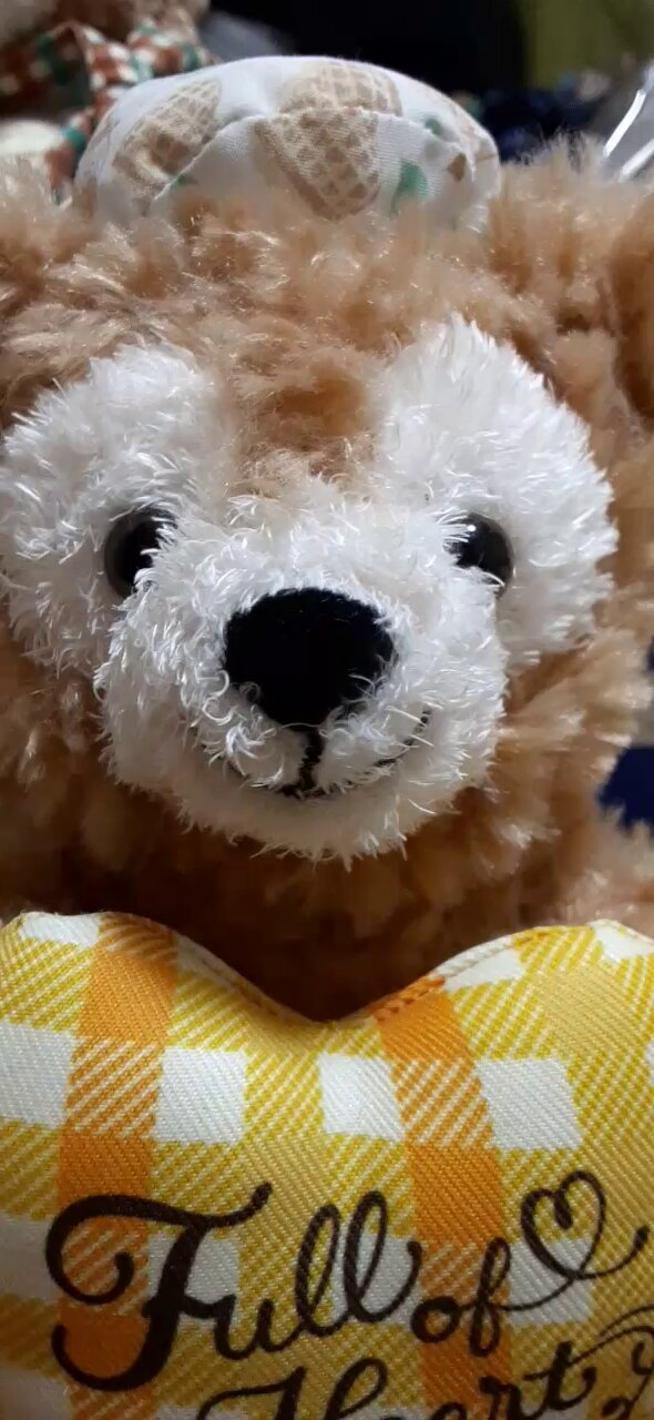 【専用ページ】duffy.love.loveさま Amazon.co.jp: 【外付特典あり・初回生産分】うらたぬき「Love
