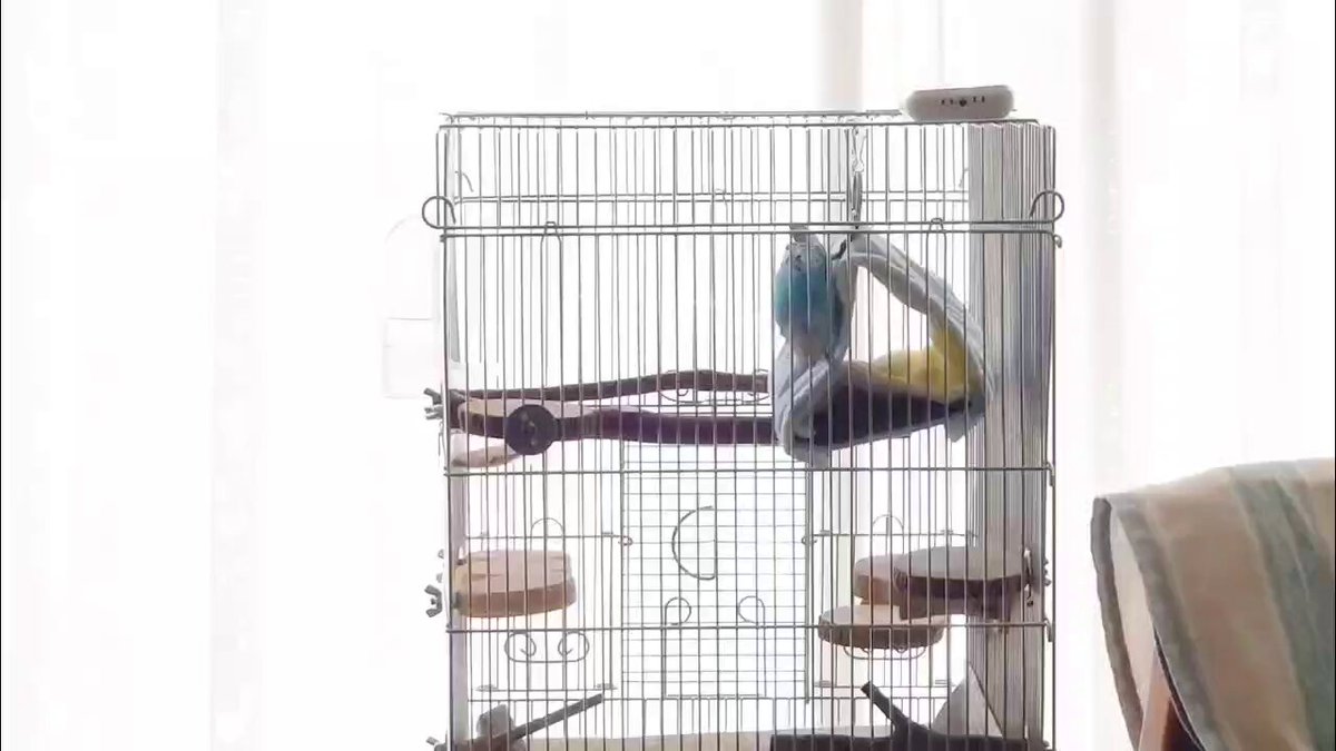 ぶんちゃん フワちゃんのオールナイトニッポン0 on X: 