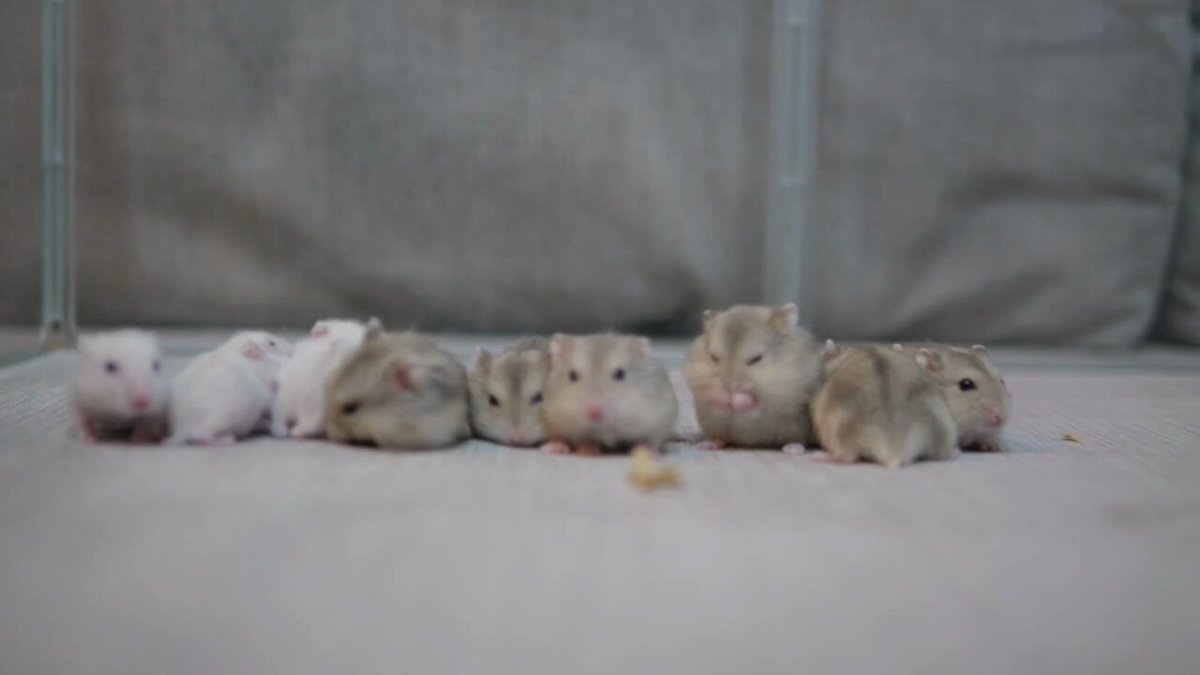 おのり様❁専用ページ おのり様❁専用ページ YouTube