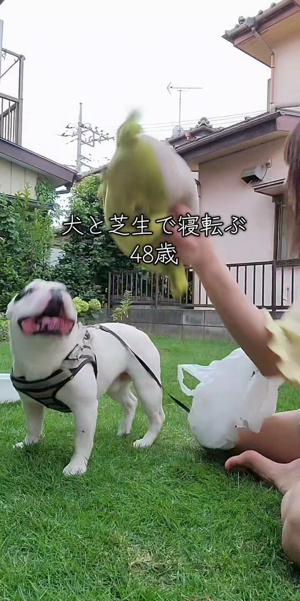 あーたそです✩.*˚ タカヒロミヤシタザソロイスト． - TAKAHIROMIYASHITATheSoloist