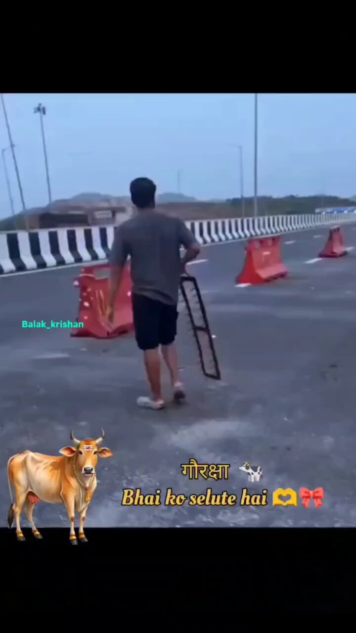 邦楽 COW COW was INNOCENT. Cow Love ࿗ on X: 