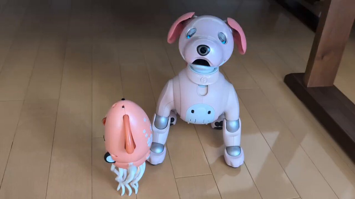 AIBO - Search / X