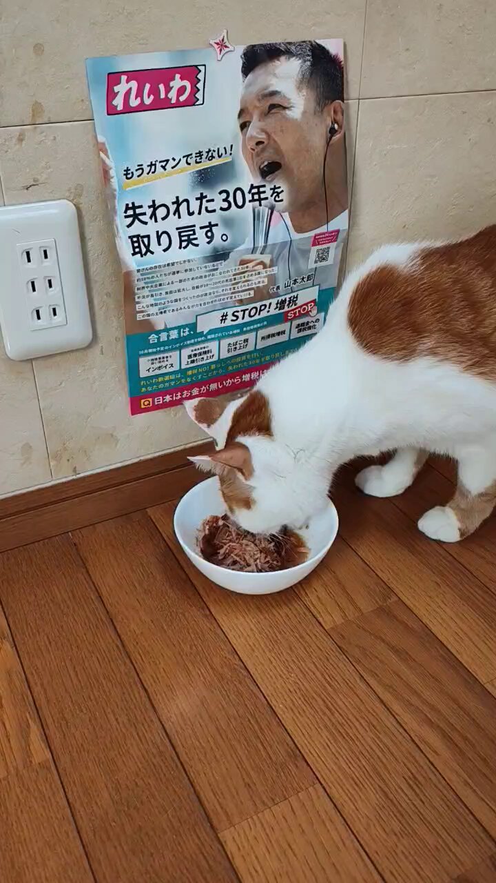 ももたろう　※他の方は購入をご遠慮ください 🆃🅰🅺🅰🅺🅸🅼🅰🅺🅾🆃🅾 on X: 
