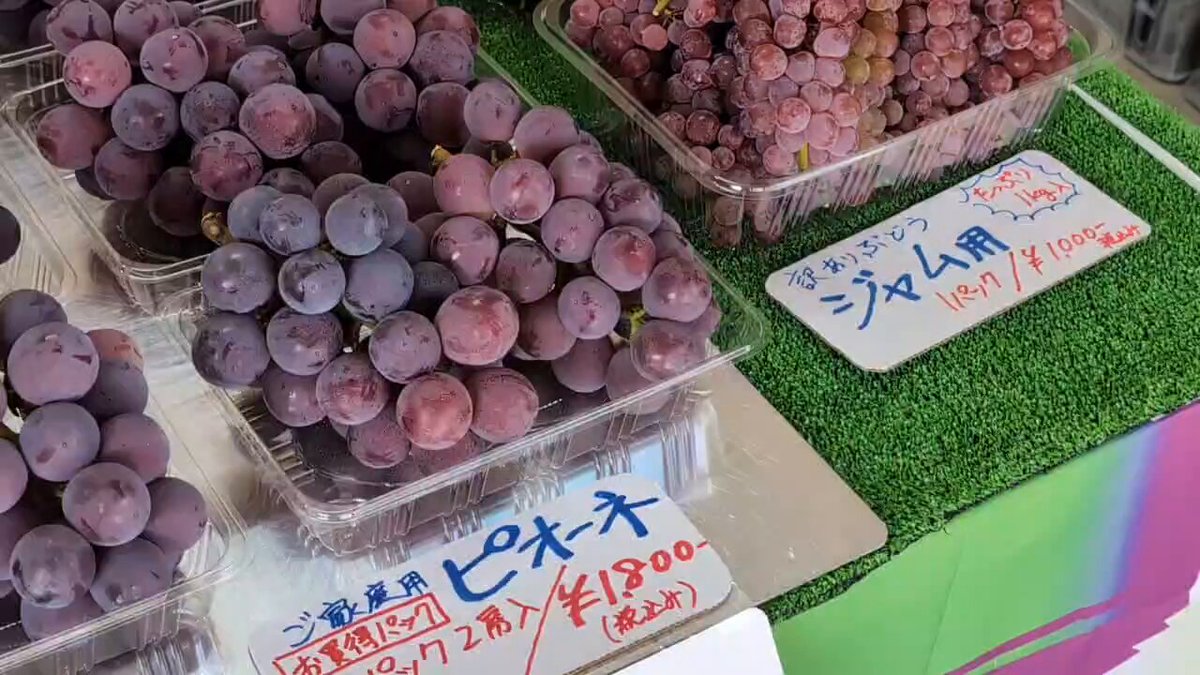 ぶどう＊ページ Introducing new black grape varieties: Azumashizuku