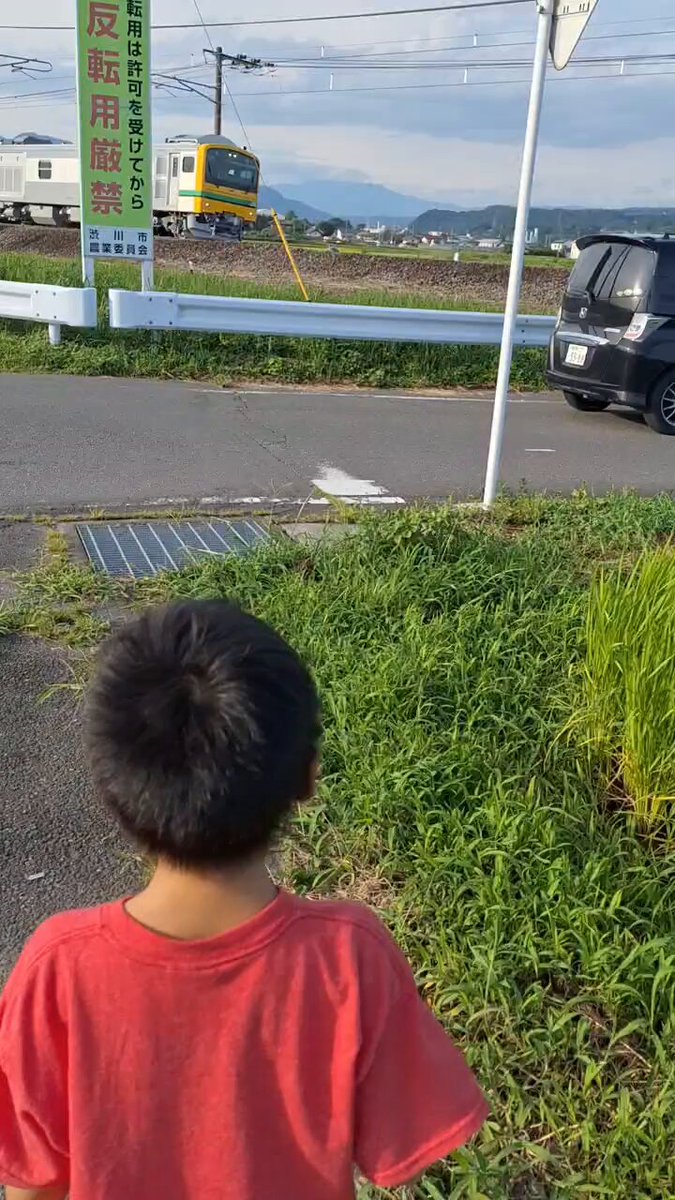 haru on X: 