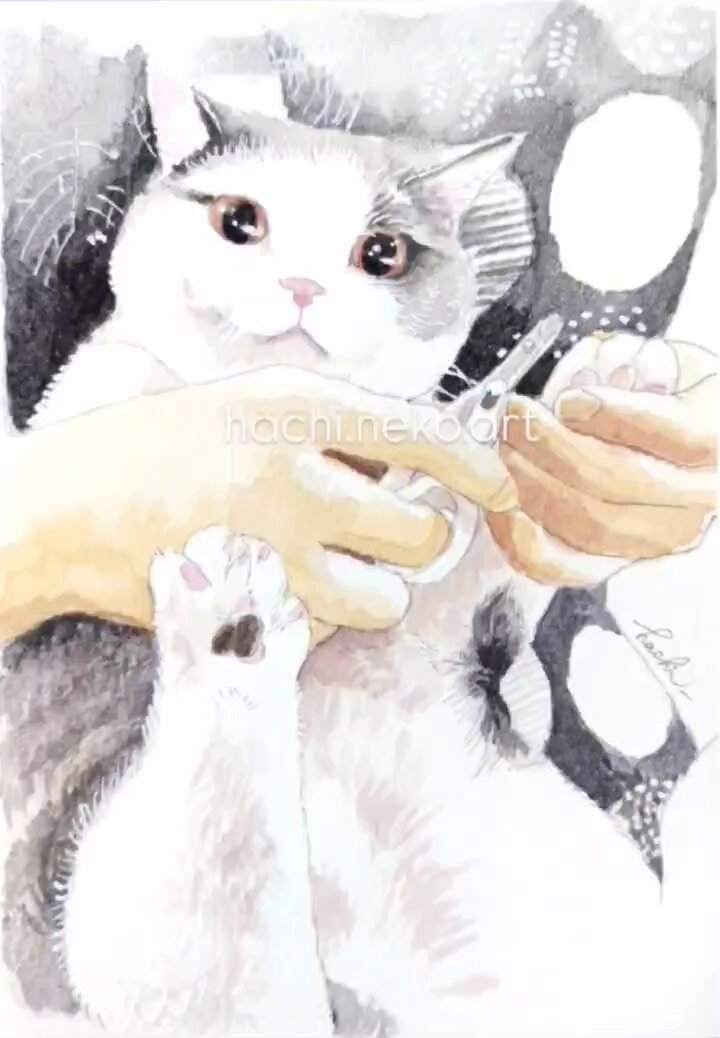 猫 原画 #160 楽天市場】A+ (アクセントプラス) Toki×Tabi 大型掛け時計 60cm