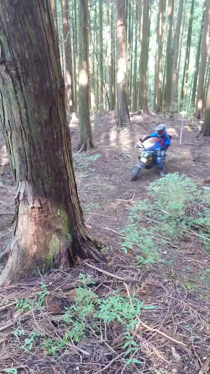 もっちゃん もっちゃんのバイク紹介5台目「ホンダ DIO ZX（AF28）」 - YouTube