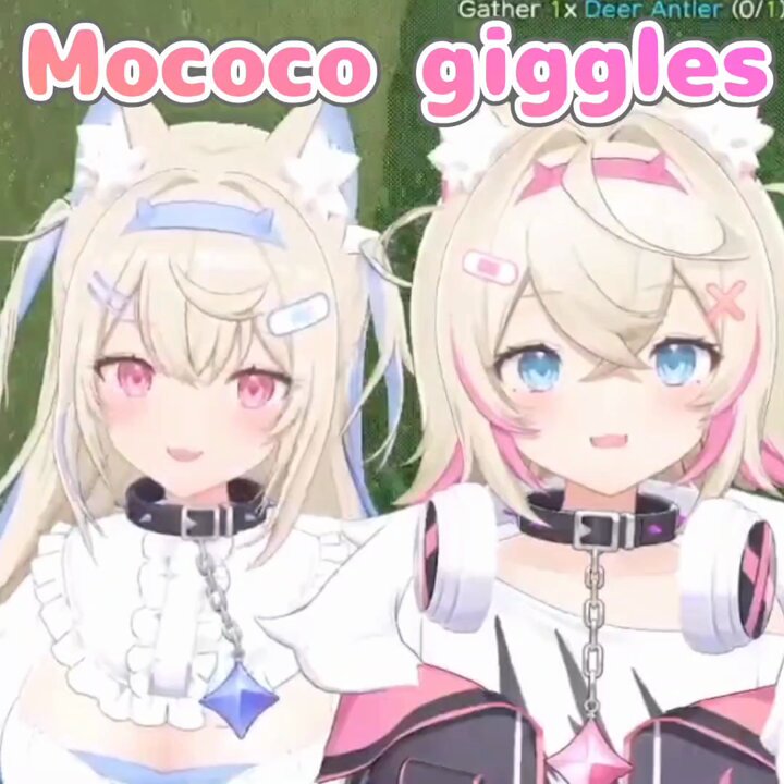 フワモコ FUWAMOCO OUR FUWAMOCO Ch. hololive-EN - YouTube