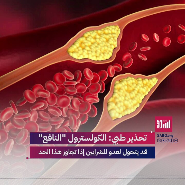 حذّر استشاري لأمراض القلب، من تحول الكولسترول النافع إلى مضر عند ارتفاعه المفرط. تعرف على الحد الآمن 