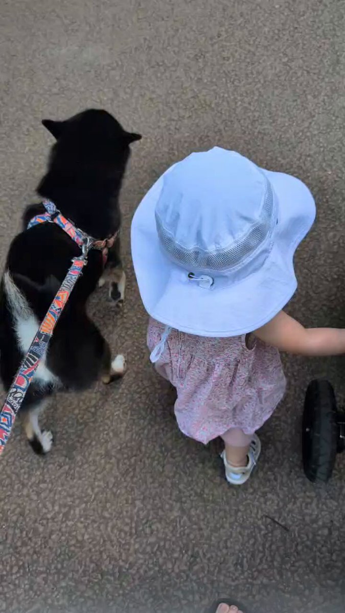 黒柴©️（感謝） jdtk59ii_200x200.jpg