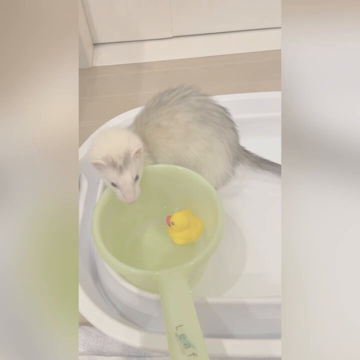 そらのすけ (@soramame_xx) / X