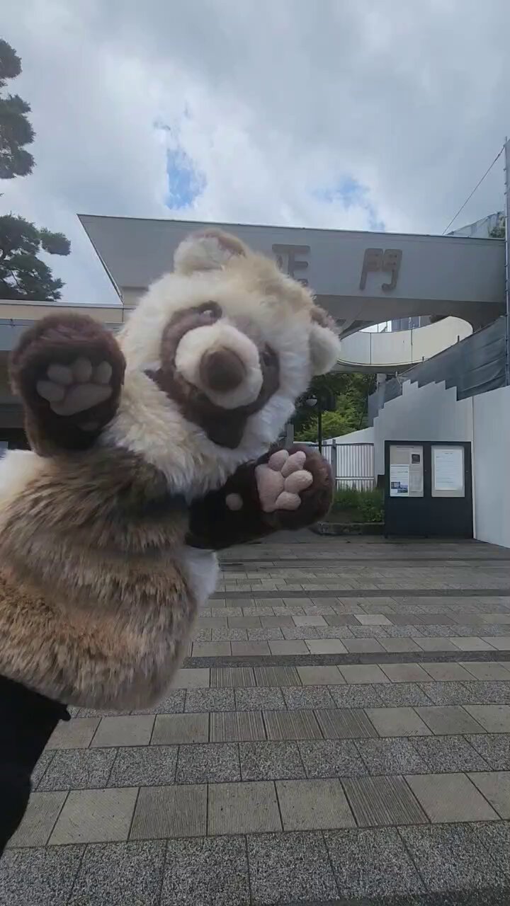 ✰ きの子•*¨*•.¸♬︎☆ 高生紳士 on X: 