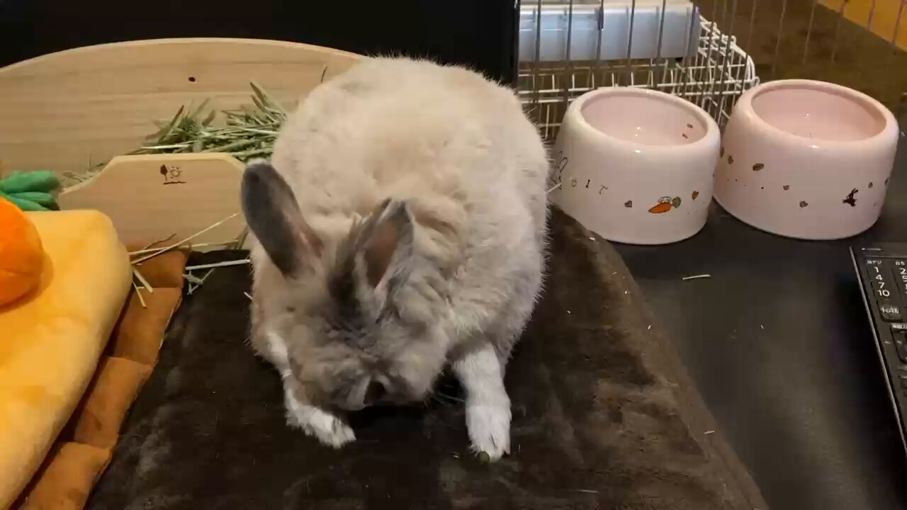 りえすぱ on X: 