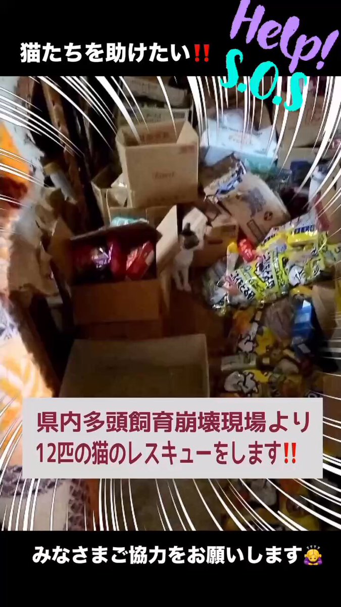 アニマルエイド on X: 