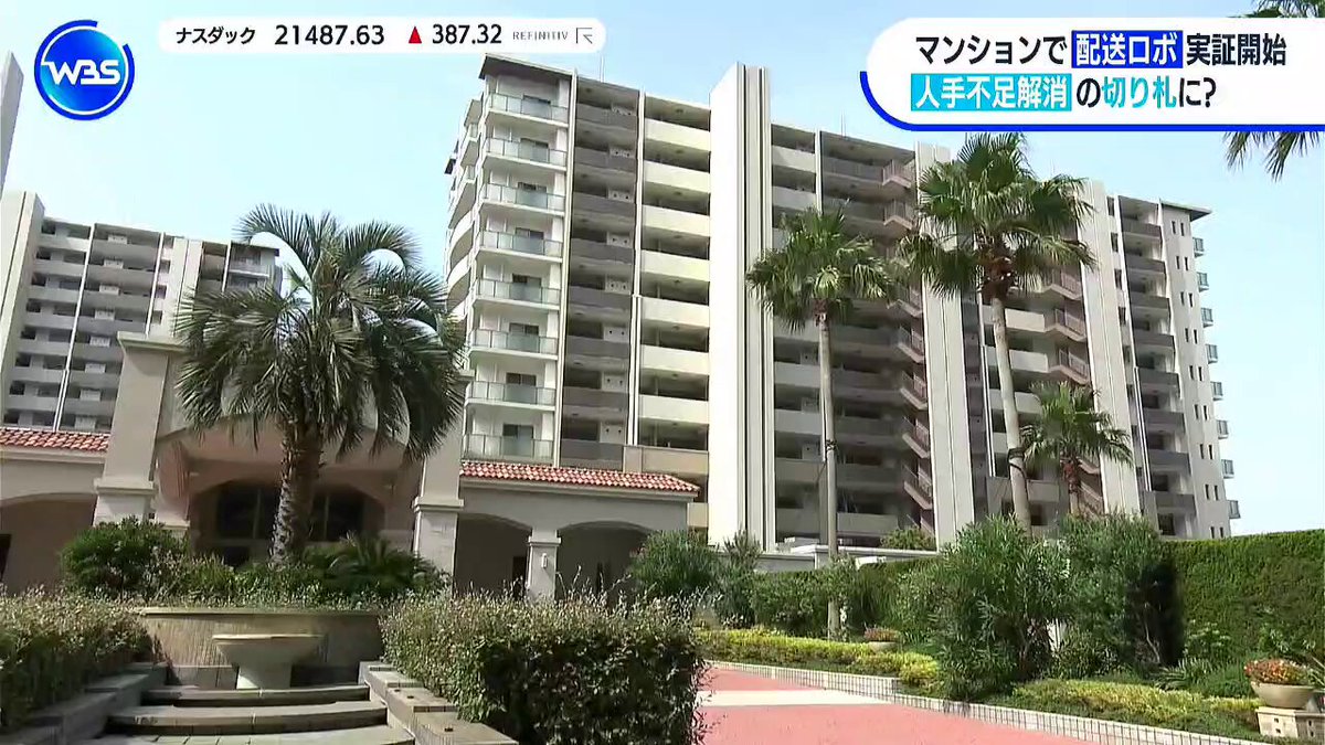 ❣️ゴーレム❣️ Yahoo３万〜5万 頭の先の3本が数ミリ欠けて居ます ❣️ゴーレム❣️ Yahoo3万〜5万 頭の先の3本が数