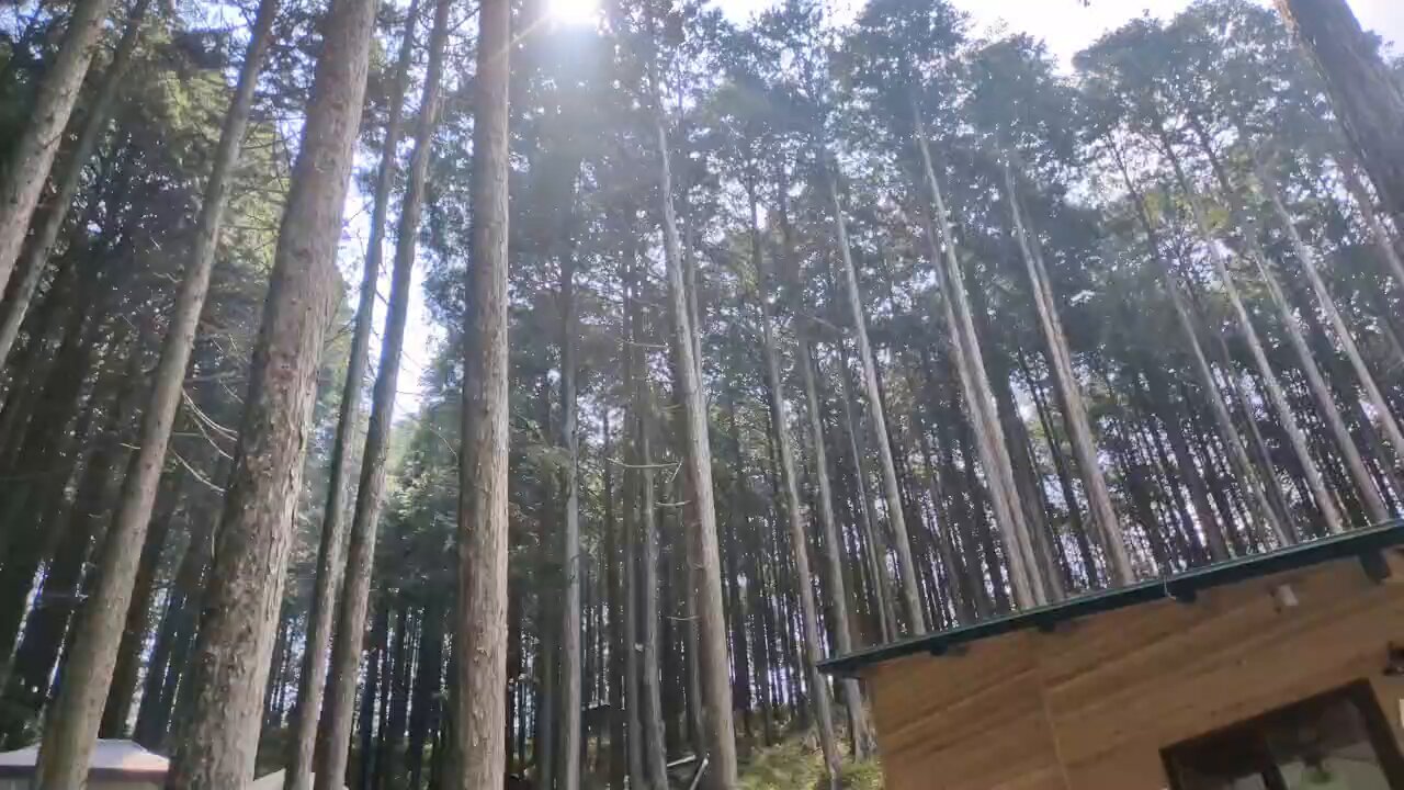 ゆののん レディース】THE HINOKI / ユーティリティパンツ ご紹介